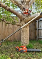 tree-services15